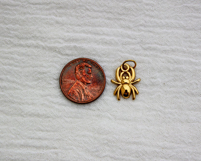 Spider PVD Charm, CH339