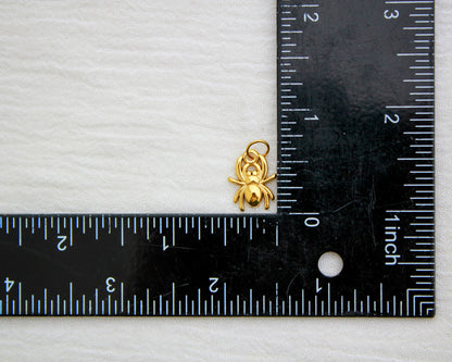 Spider PVD Charm, CH339