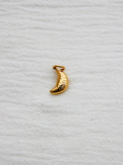 Croissant PVD Charm, CH340