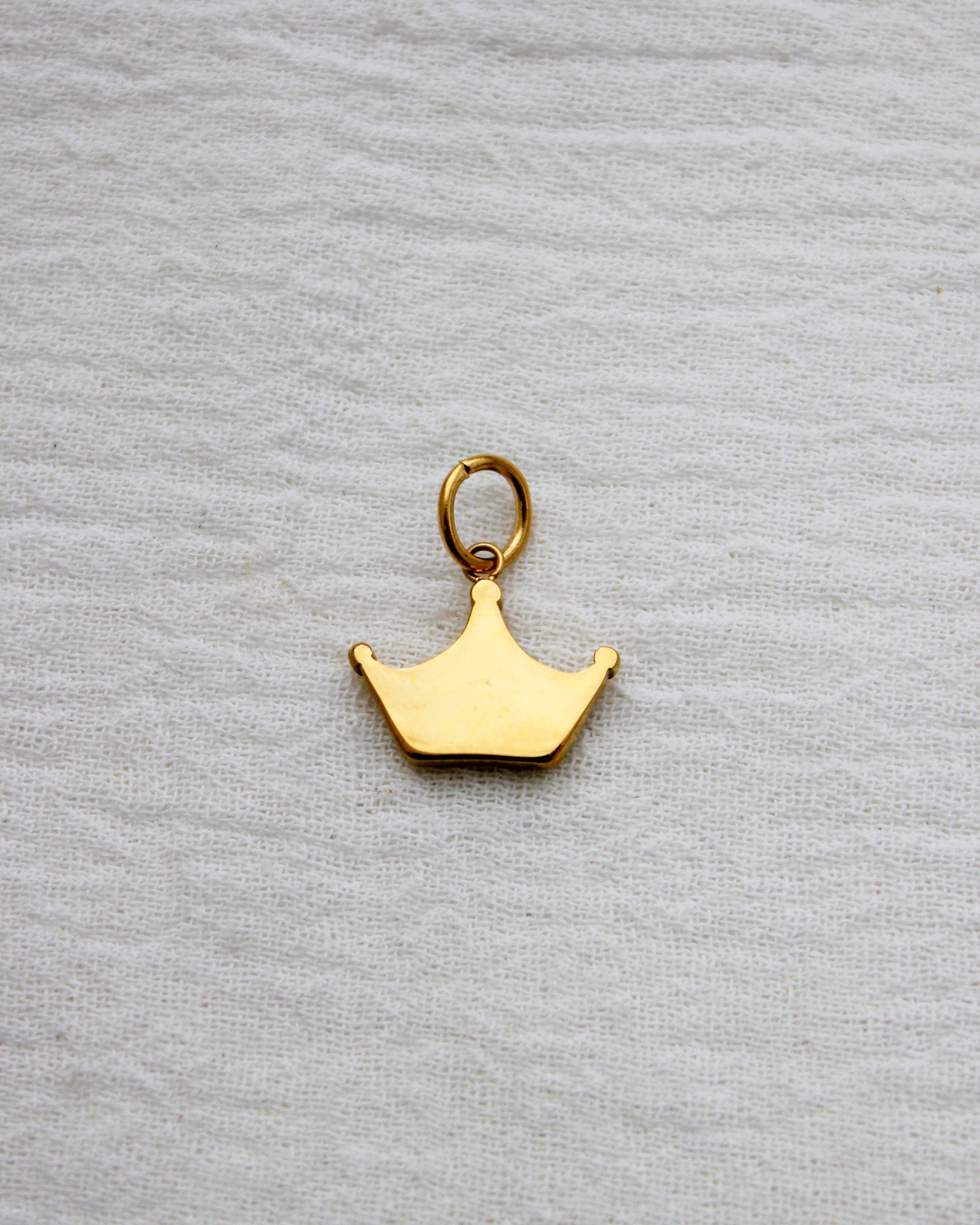 Crown PVD Charm with Cubic Zirconia, CH356