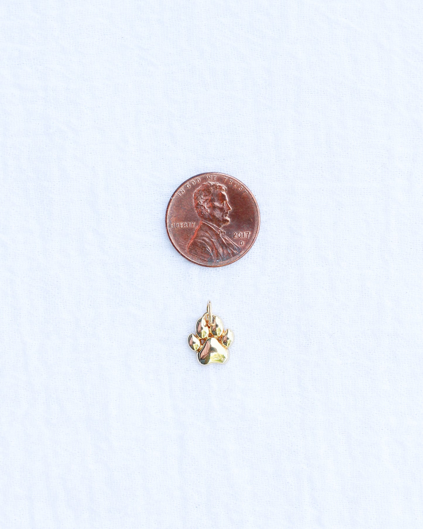 Paw Print Charm, CH105