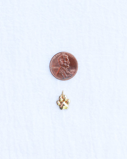 Paw Print Charm, CH105