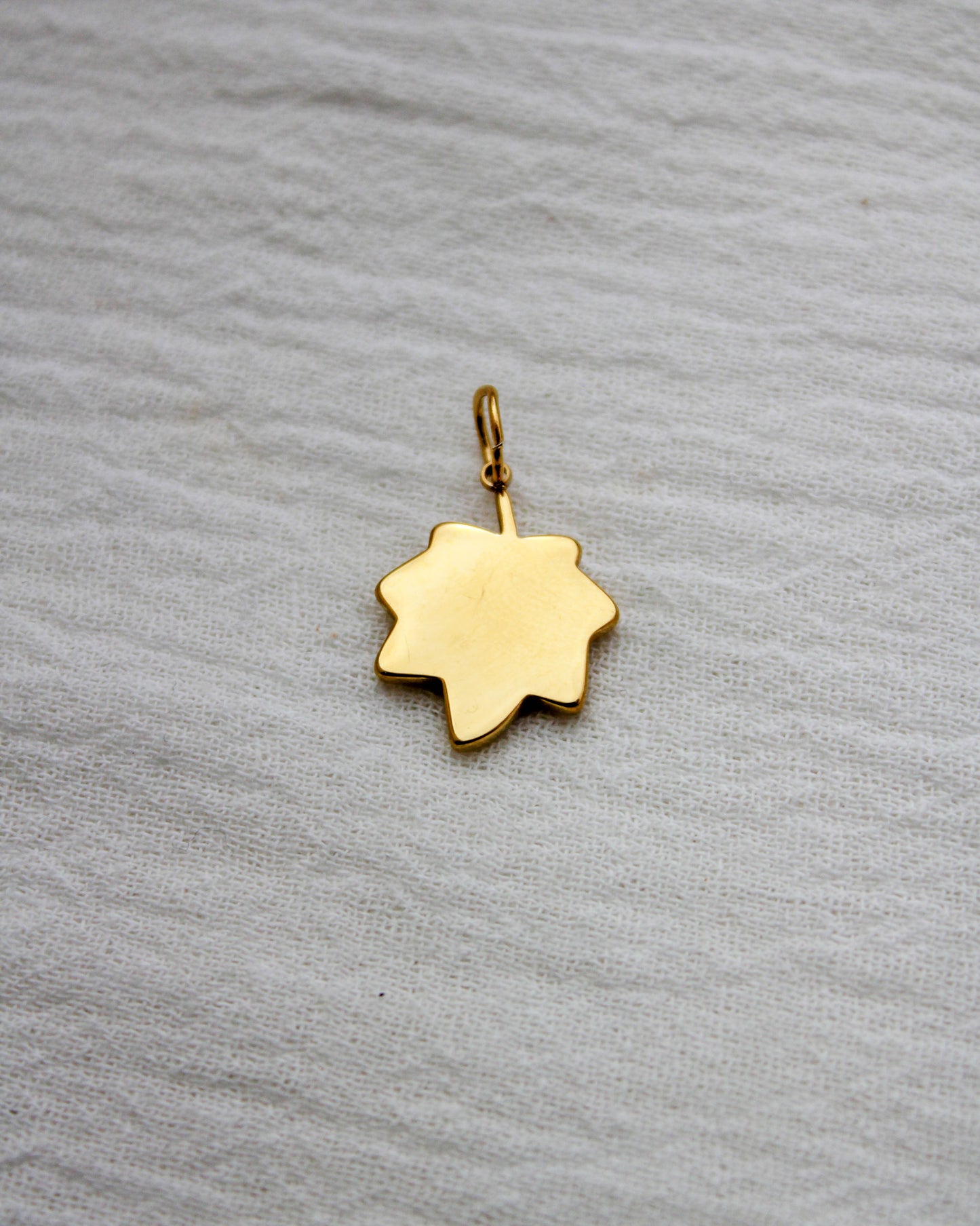 Leaf PVD Charm with Cubic Zirconia, CH358