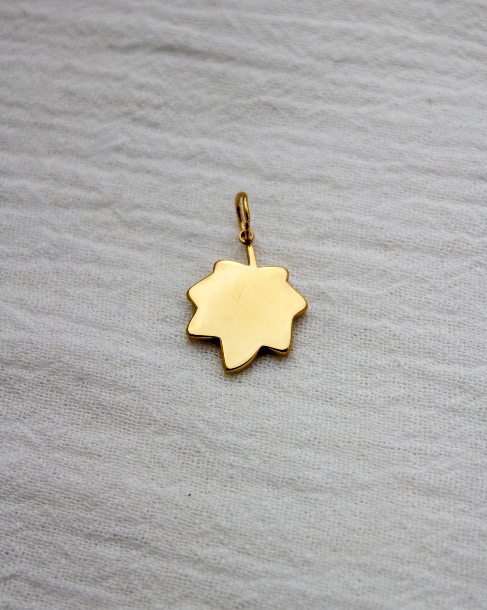 Leaf PVD Charm with Cubic Zirconia, CH358