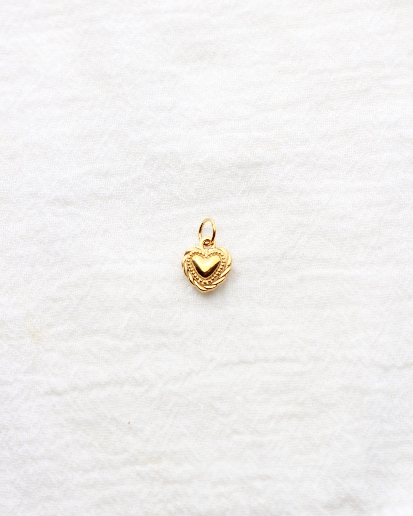 12mm Heart with Rope Outline PVD Charm, CH431