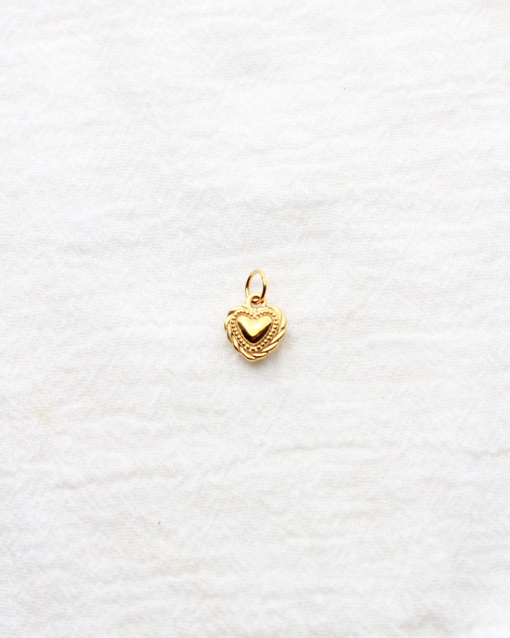 12mm Heart with Rope Outline PVD Charm, CH431