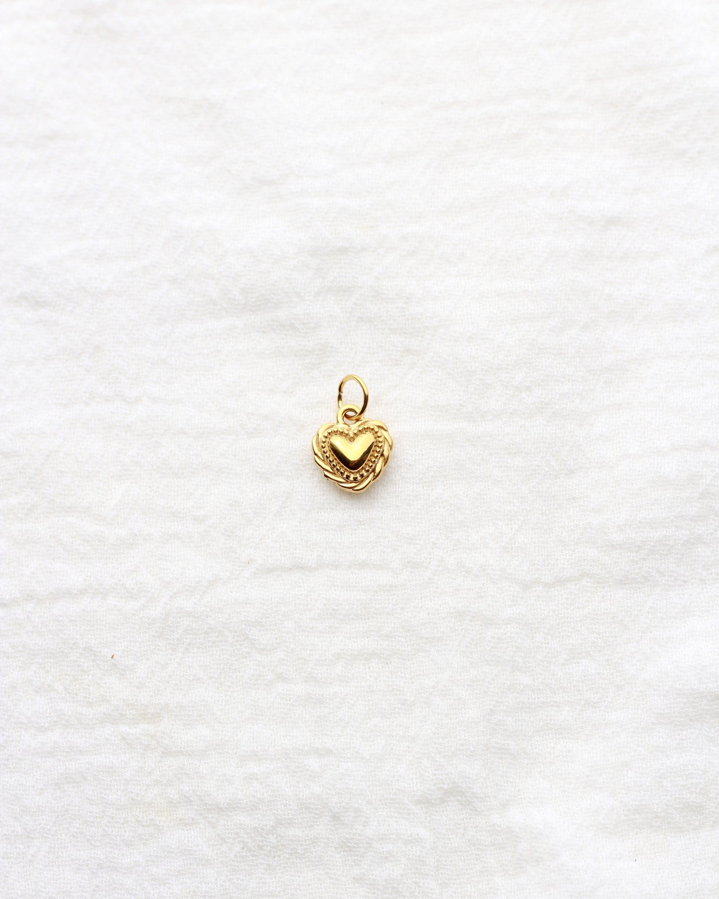 12mm Heart with Rope Outline PVD Charm, CH431