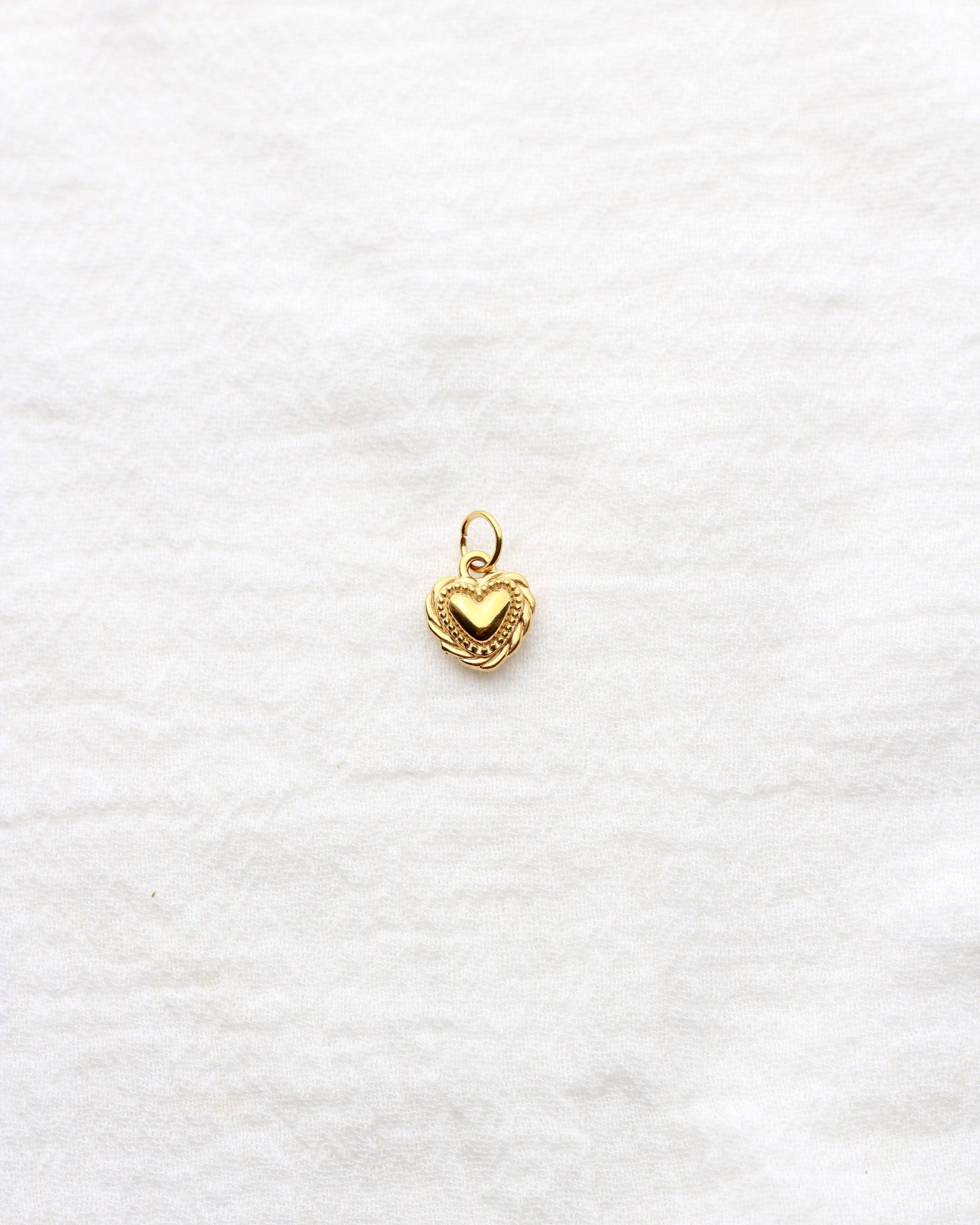 12mm Heart with Rope Outline PVD Charm, CH431