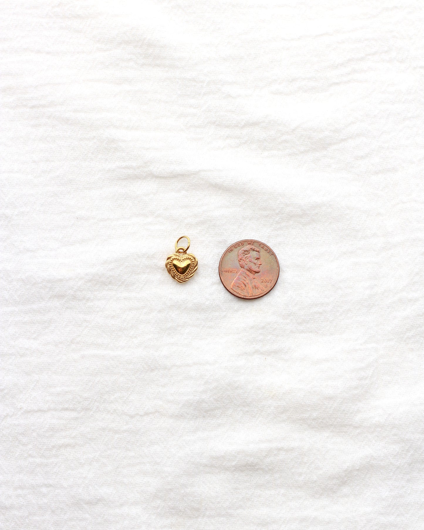 12mm Heart with Rope Outline PVD Charm, CH431