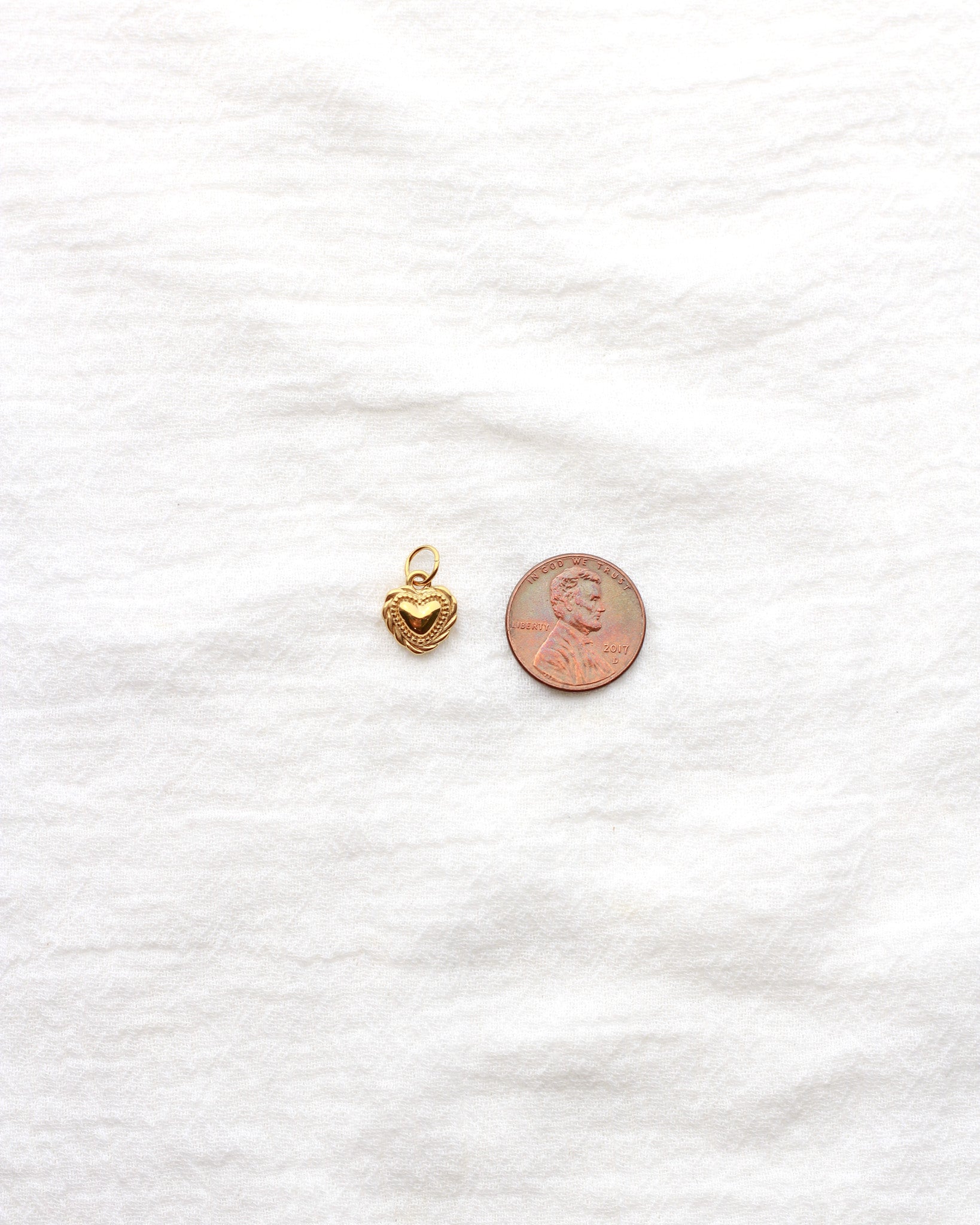 12mm Heart with Rope Outline PVD Charm, CH431