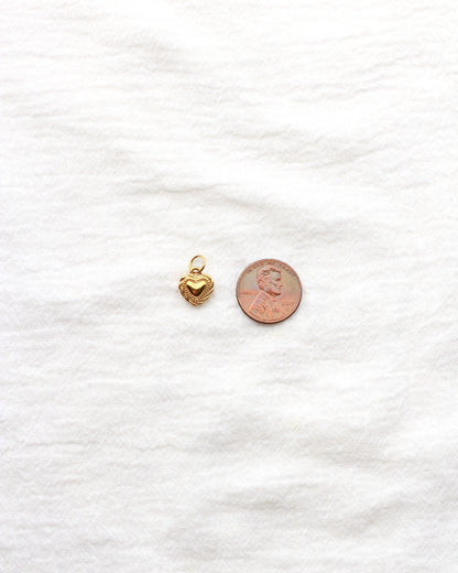 12mm Heart with Rope Outline PVD Charm, CH431