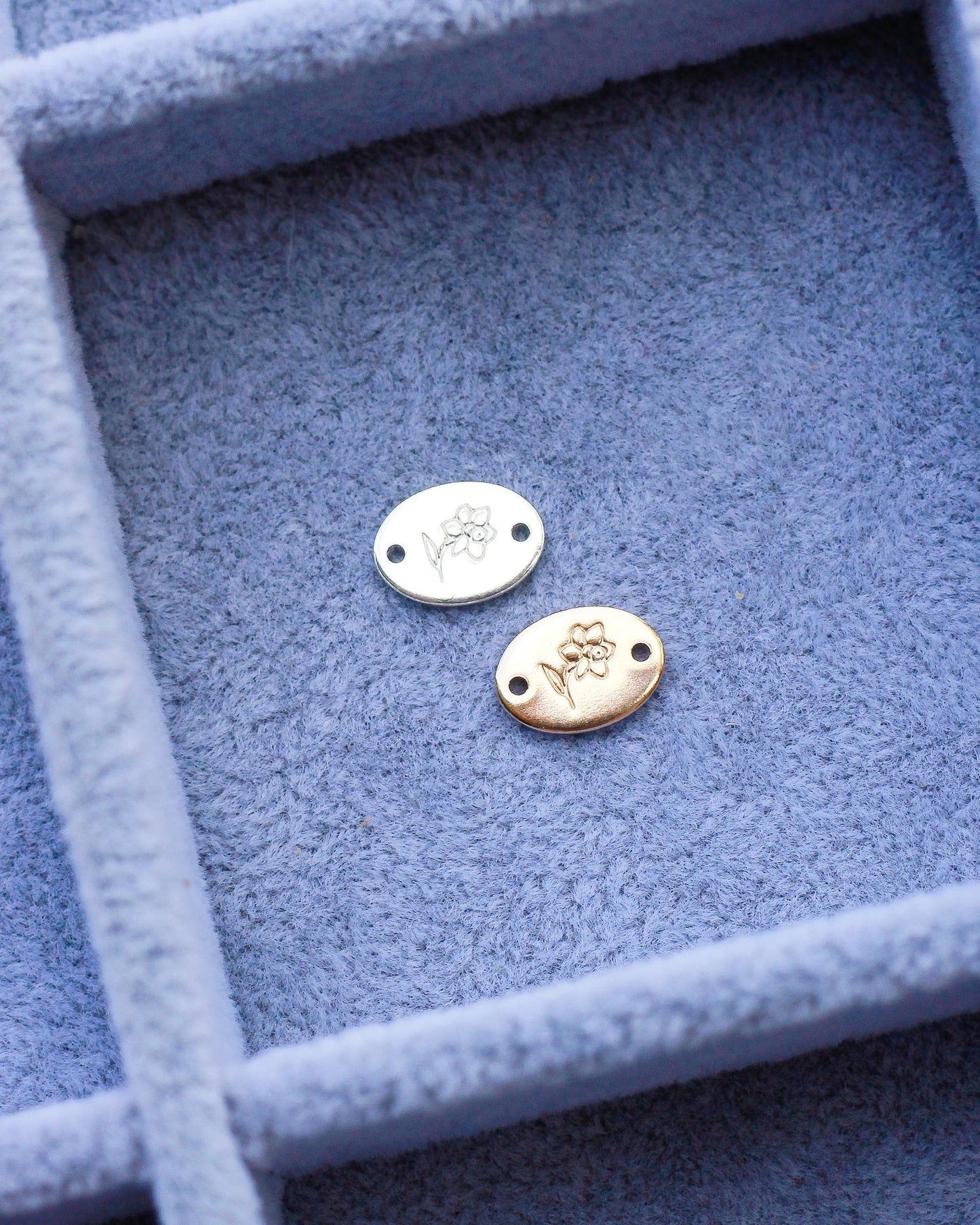 Daffodil Connector, CN01