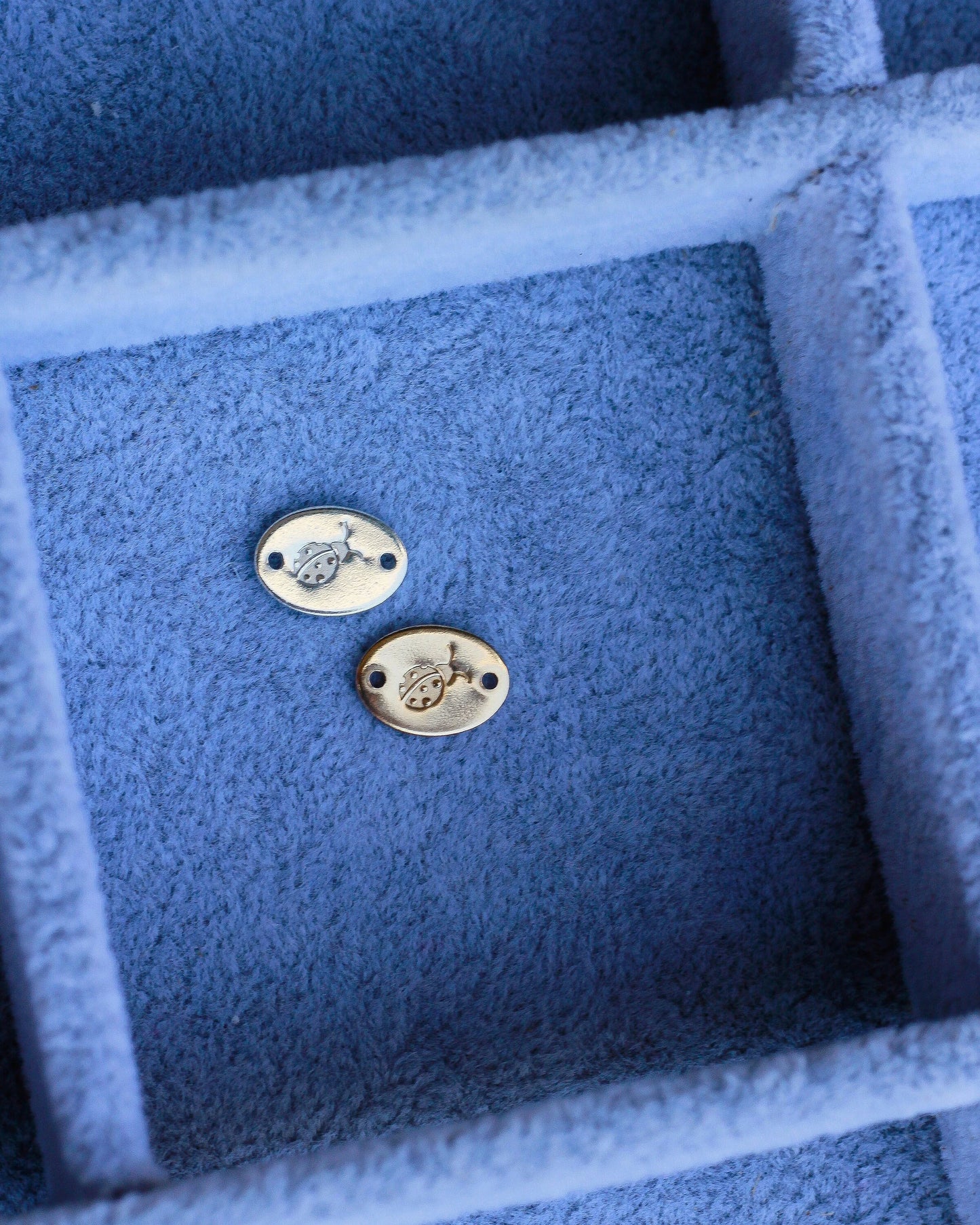 Ladybug connector, CN01