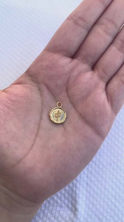 Cactus Coin Charm, CH277