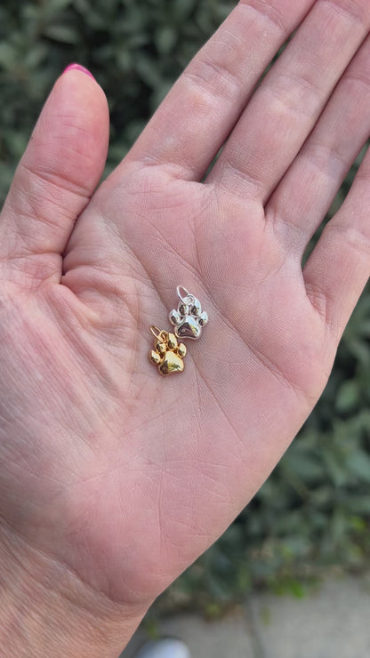 Paw Print Charm, CH105