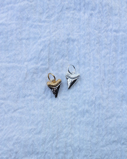 Shark Tooth Charm, CH72