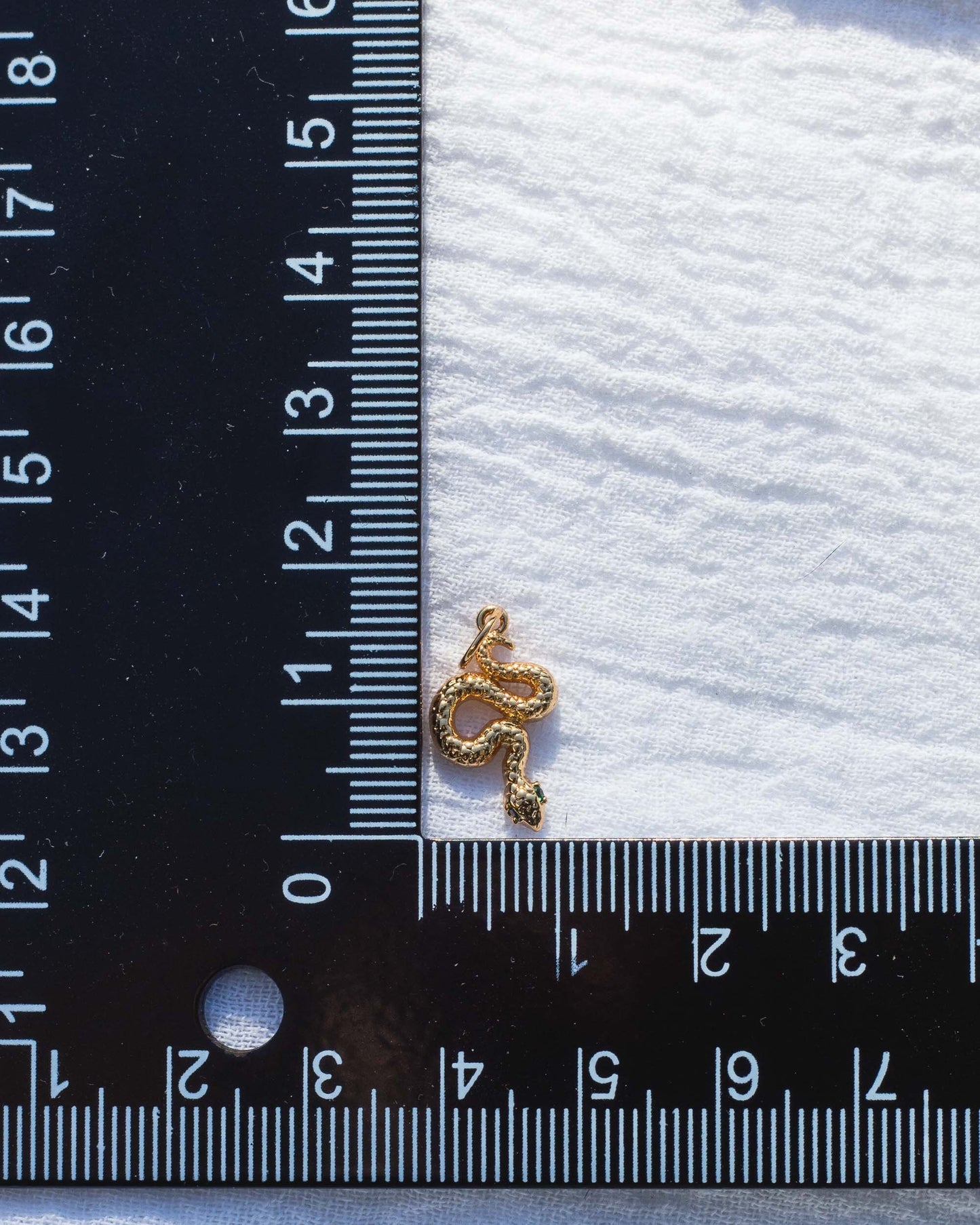 Snake Charm, CH48