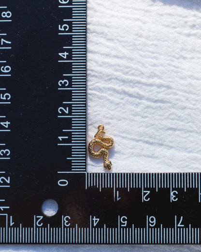 Snake Charm, CH48