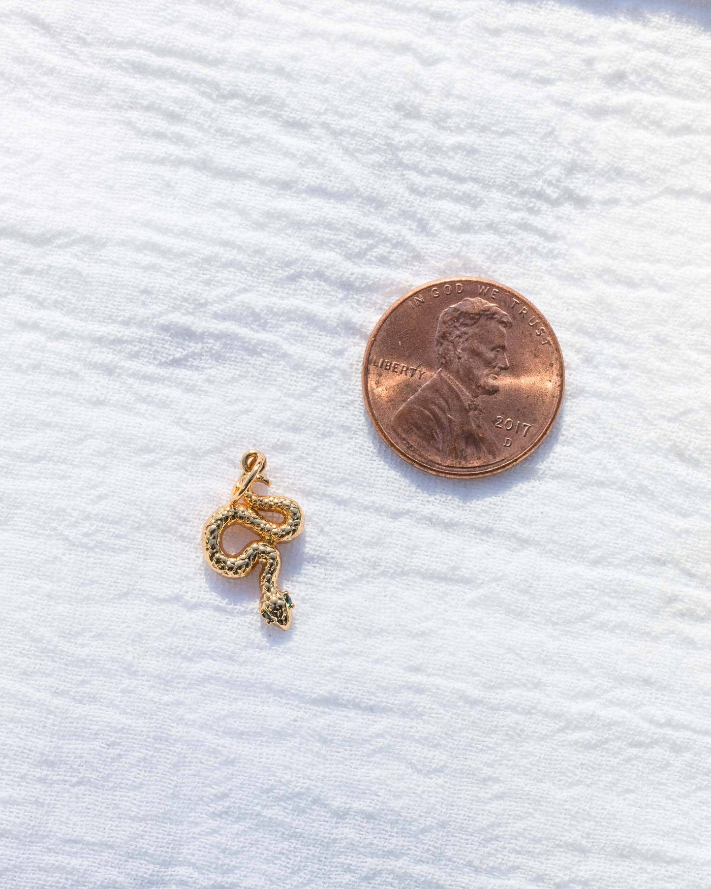 Snake Charm, CH48
