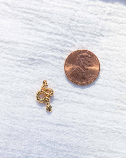 Snake Charm, CH48