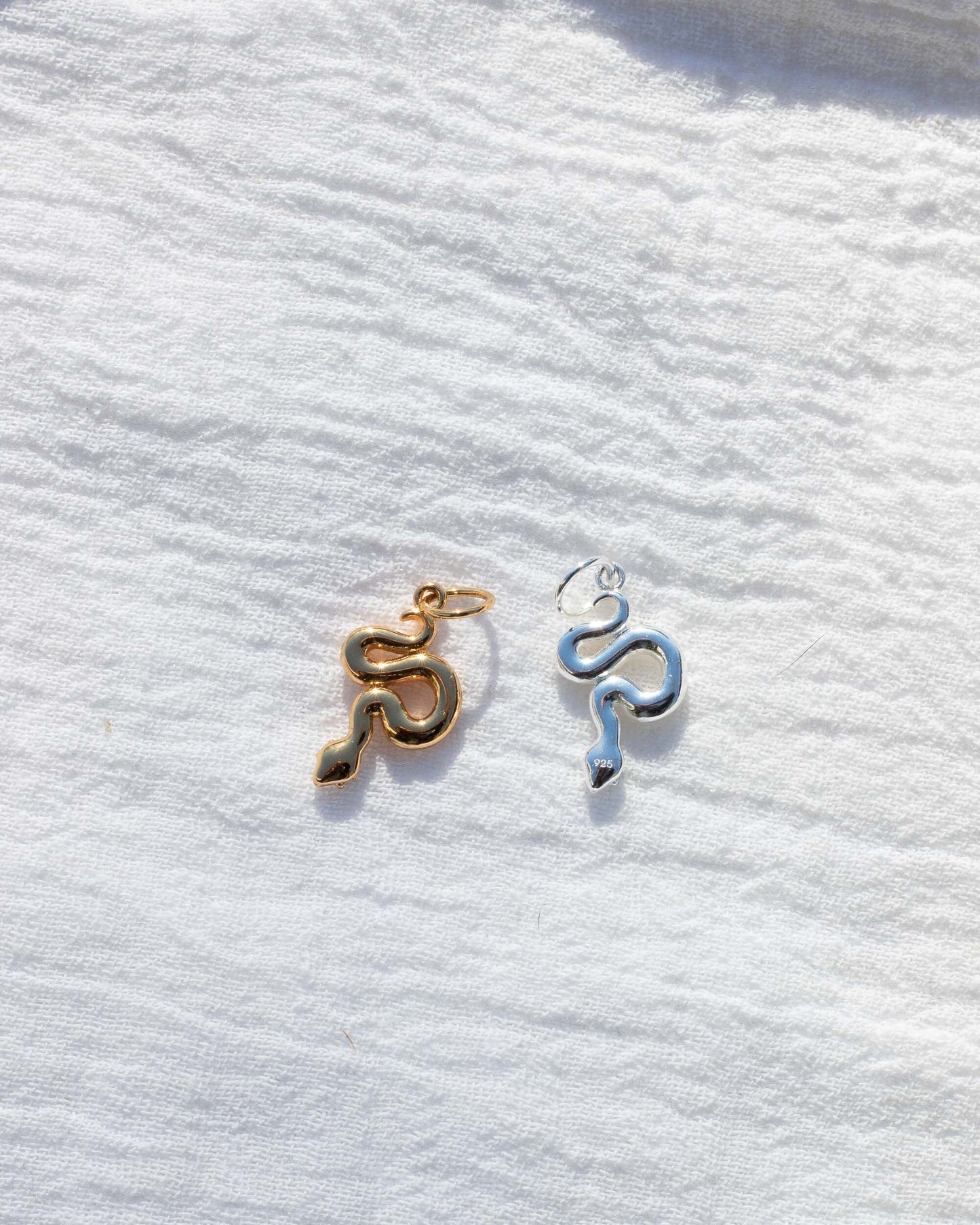 Snake Charm, CH48